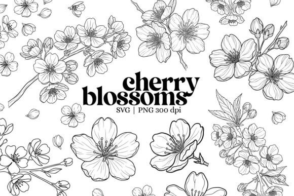 Download Botanical Cherry Blossom Outline Clipart - Art Collection