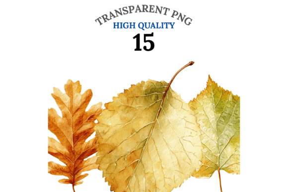 Download 15 Autumn Leaf Clipart - Art Collection