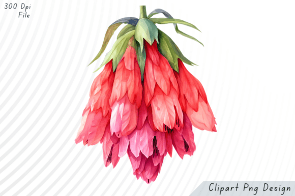Download Watercolor Red Bell Flower PNG Clipart - Art Collection