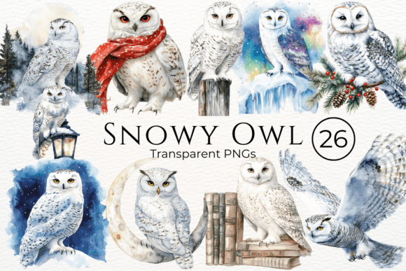 Download Snowy Owl Watercolor Clipart - Art Collection
