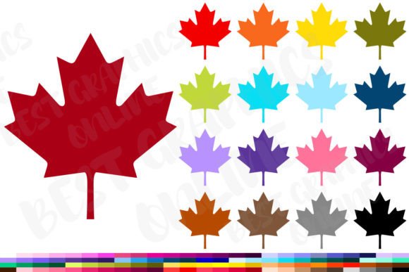 Download Maple Leaf Clipart Canadian Leaves Image - Art Collection