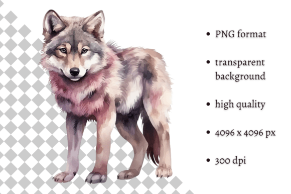 Download Watercolor Woodland Wolf PNG Clipart - Art Collection