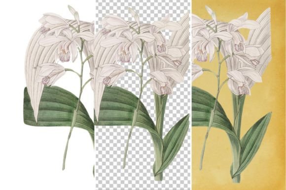 Download Vintage Flower Wall Art Printable - Art Collection