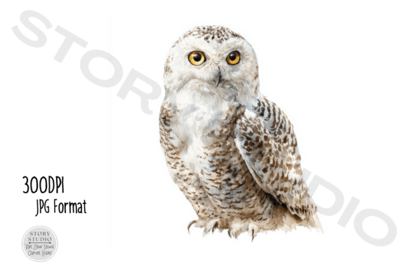 Download Majestic Snowy Owl Clipart Collection - Art Collection