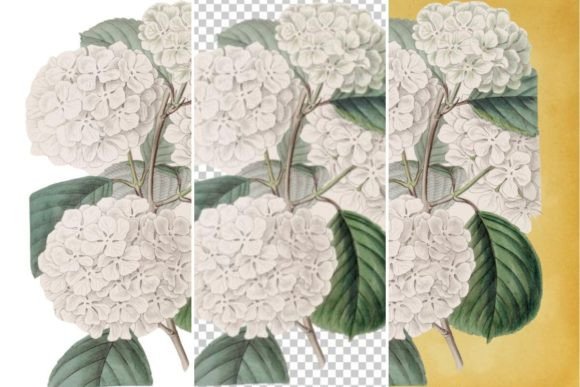 Download Vintage Flower Wall Art Printable - Art Collection