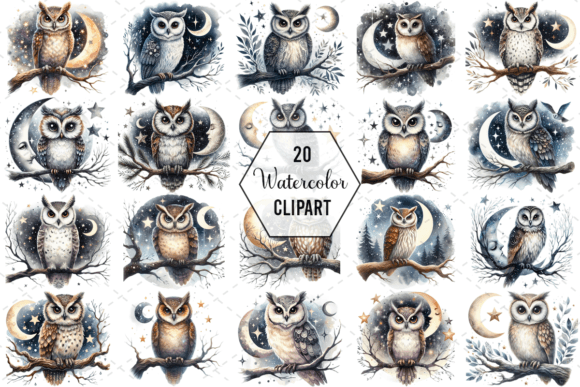 Download Nightwise Owl Watercolor Clipart Bundle - Art Collection