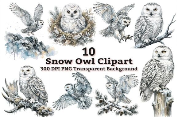 Download Majestic Snowy Owl Clipart Bundle PNG - Art Collection