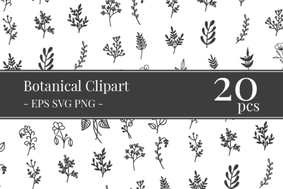 Download Botanical Clipart Bundle - Art Collection