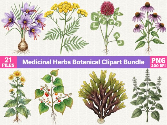 Download Medicinal Herbs Botanical Clipart Bundle - Art Collection