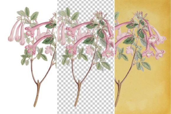 Download Vintage Flower Wall Art Printable - Art Collection
