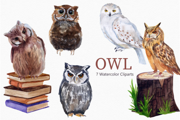 Download Owl Watercolor Clipart Bird - Art Collection