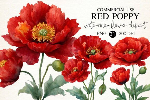 Download Watercolor Red Poppy Flower Clipart - Art Collection